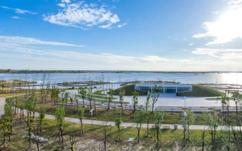 1652955463656019.jpg 2.jpg