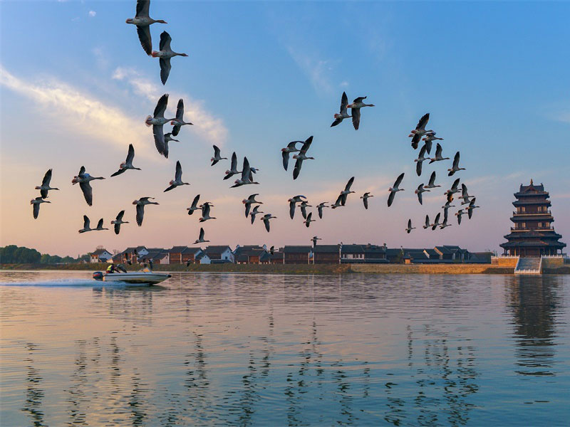 1652955890125484.jpg 2.jpg