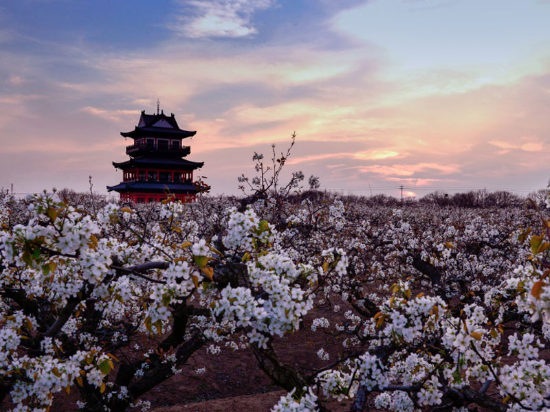 1652956387165242.jpg 2.jpg