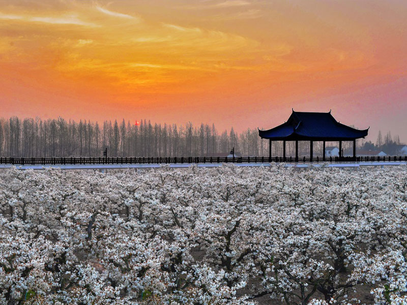 1652956395833654.jpg 3.jpg