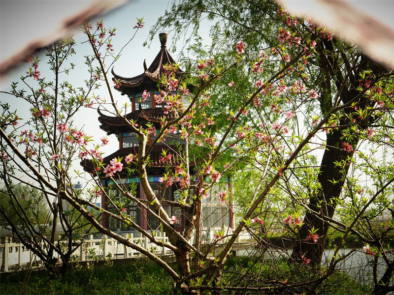 1652956402480320.jpg 4.jpg