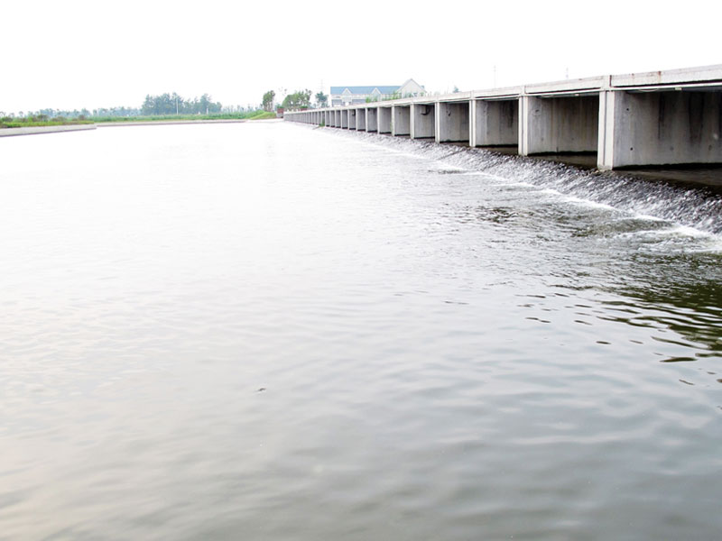 1652957178654556.jpg 3.jpg