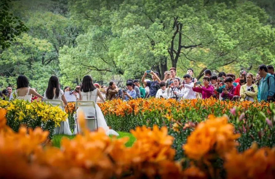 1653233137517758.jpg 國慶黃金周9.JPG