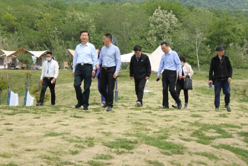 1653301103615612.jpg 金寧文化2.JPG