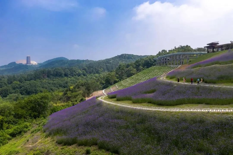 1661336776825306.png 江寧路線2.png